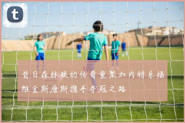 昔日森林狼的传奇重聚加内特乐福维金斯唐斯携手夺冠之路